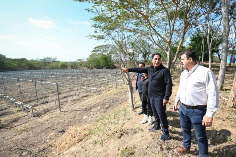 Avanza en Chiapas Nueva ERA Ambiental