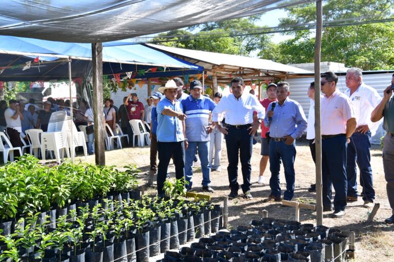 Con Sembrando Vida, Gobierno del Pueblo fortalece la producción alimentaria y acelera la reforestación de Tabasco