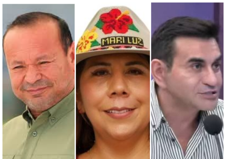 Democracia virtual / Alcaldes borrachos de poder