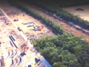 Tren Maya se come 3.9 millones de árboles