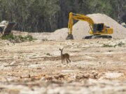Sin autorización, la Sedena construye hotel en Calakmul, reserva de la biósfera