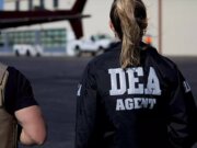 La DEA presume detenciones de 617 integrantes del Cártel de Sinaloa