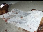 Dejan restos humanos desmembrados en Cárdenas