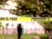 Ejecutan a empresario limonero en Michoacán; era víctima de extorsión