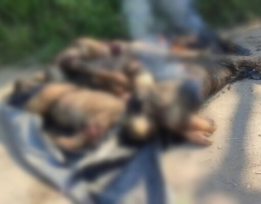 Hallan cuatro cuerpos en Tabasco; podría tratarse de los mecánicos desaparecidos