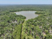Cinco lagunas de Tabasco serán designadas área natural protegida