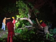 Tromba derriba más de 30 árboles en tres comunidades de Centro